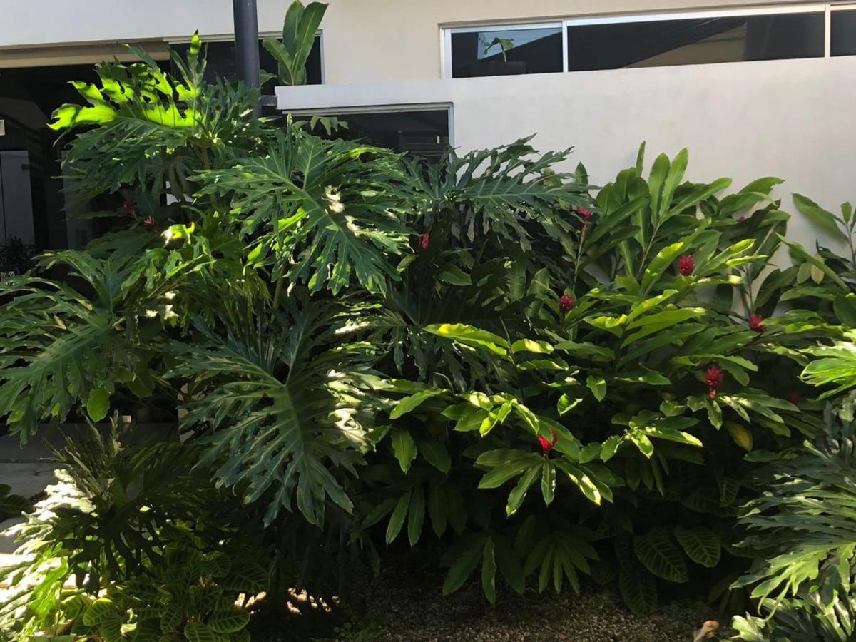 Costa Rica San Jose Full And Comfortable Apartament Pinares Curridabat Esterno foto