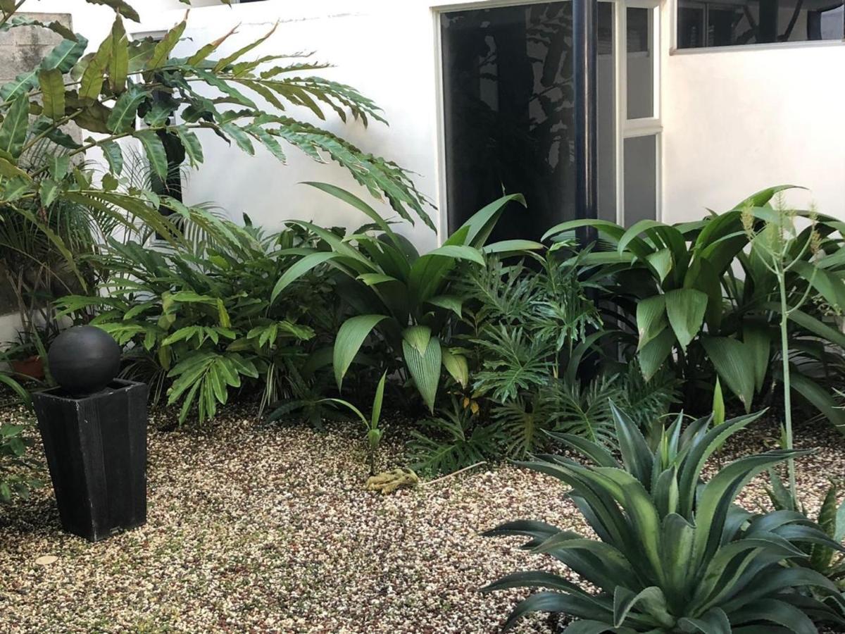 Costa Rica San Jose Full And Comfortable Apartament Pinares Curridabat Esterno foto